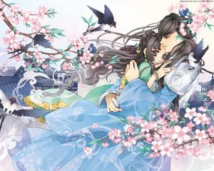 蜜芽 永久进口